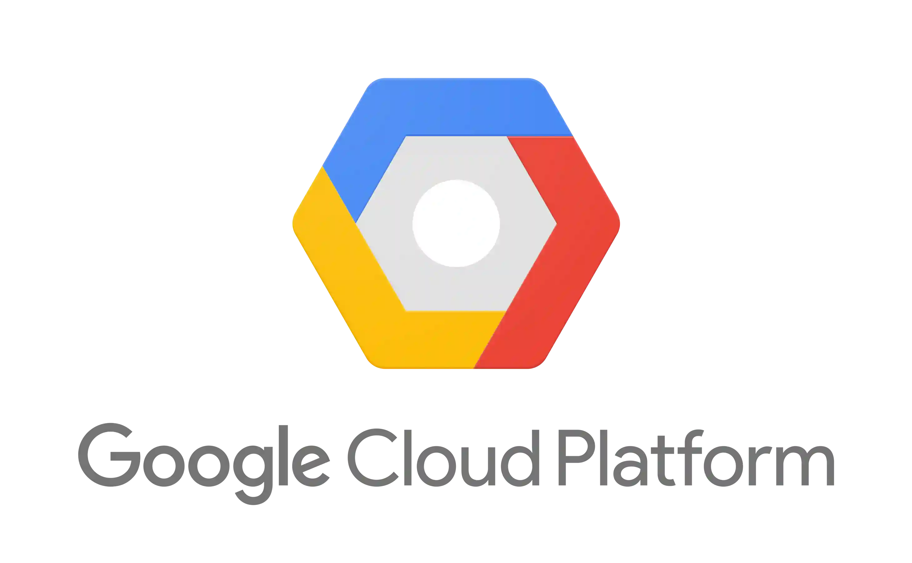 Official Google Partner for Web and SEO Services